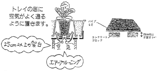 黒枝豆