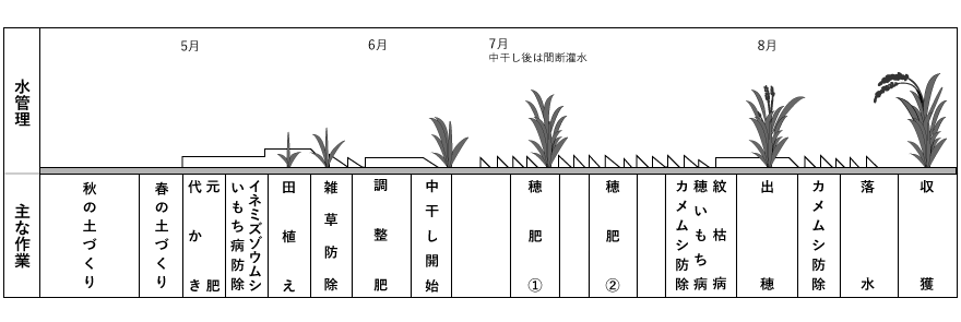 お米の営農情報