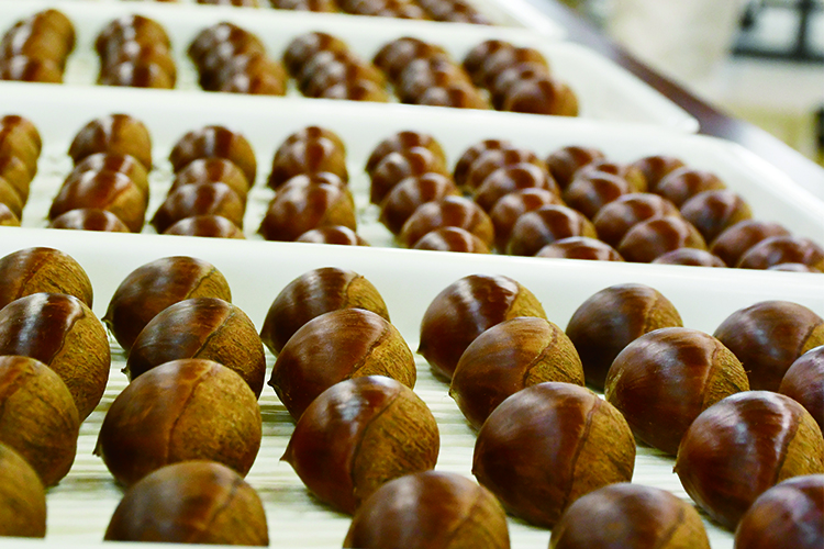 令和7年度 丹波栗品評会